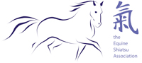tESA – The Equine Shiatsu Association