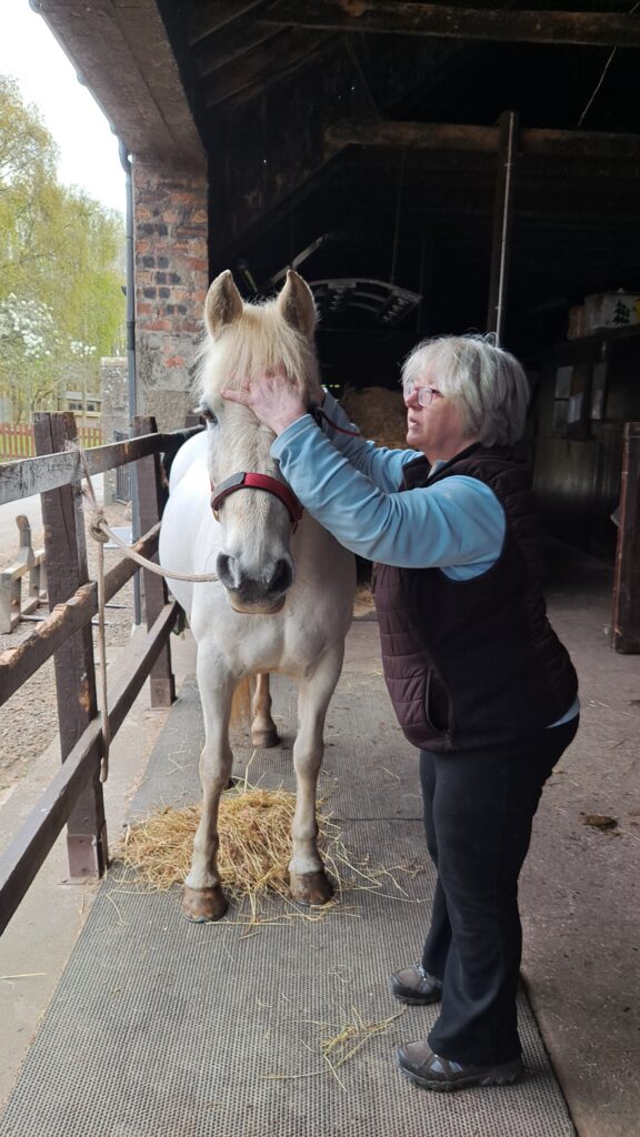 Shiatsu with a white pony