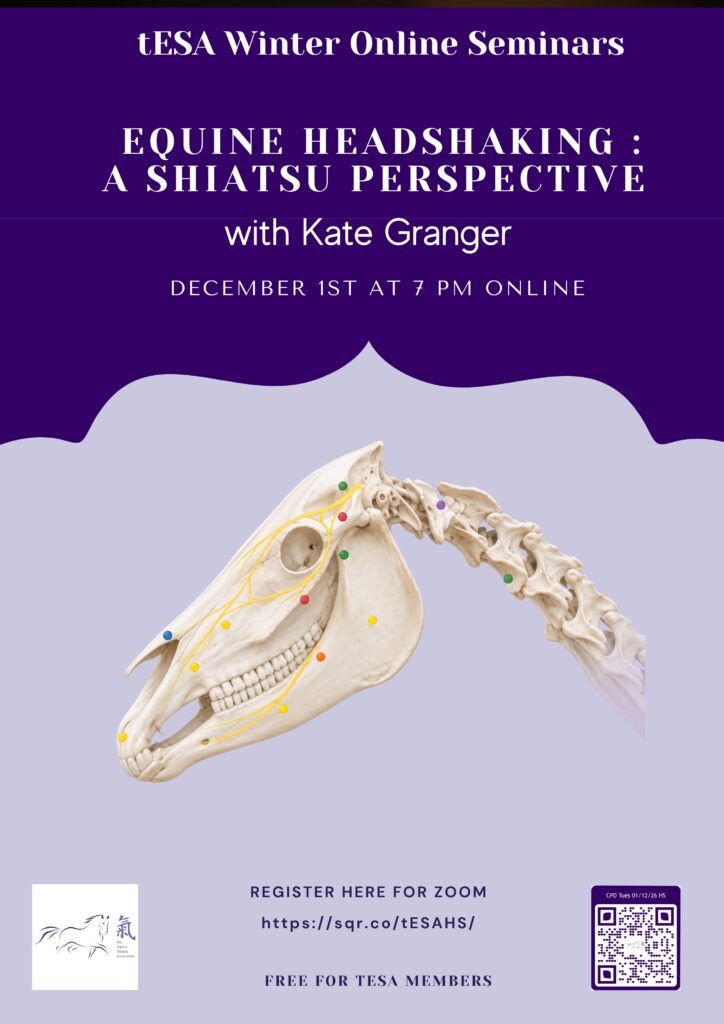 Headshaking Online Event by tESA