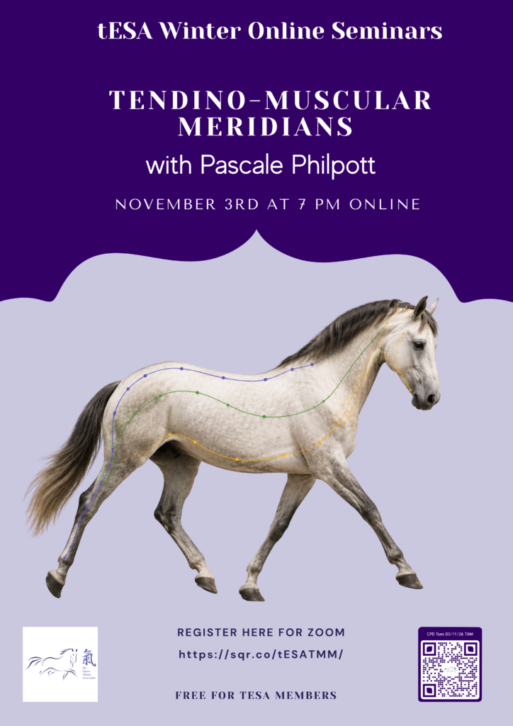 Tendino-muscular meridians Online Event by tESA
